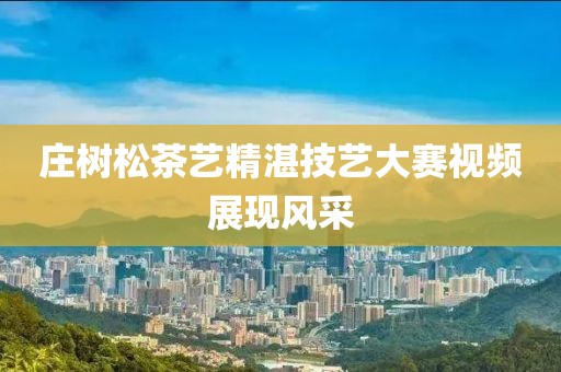 庄树松茶艺精湛技艺大赛视频展现风采
