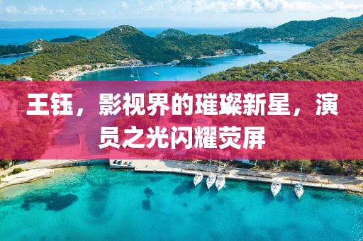王钰，影视界的璀璨新星，演员之光闪耀荧屏
