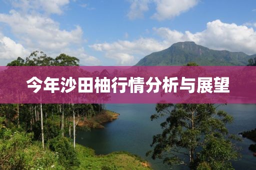 今年沙田柚行情分析与展望
