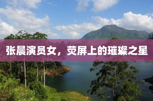 张晨演员女，荧屏上的璀璨之星