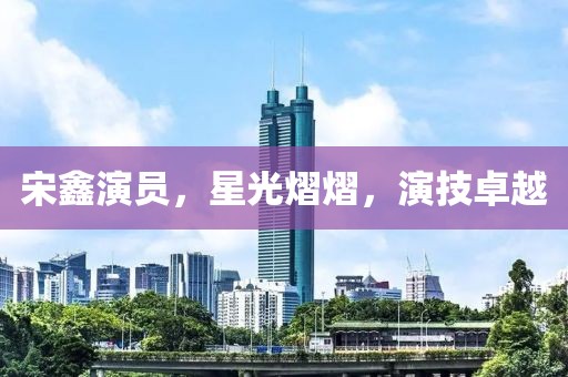 宋鑫演员，星光熠熠，演技卓越