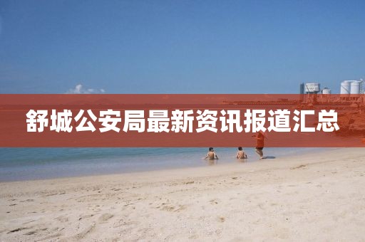 舒城公安局最新资讯报道汇总