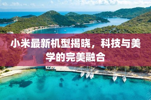 小米最新机型揭晓，科技与美学的完美融合