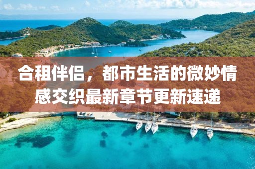 合租伴侣，都市生活的微妙情感交织最新章节更新速递