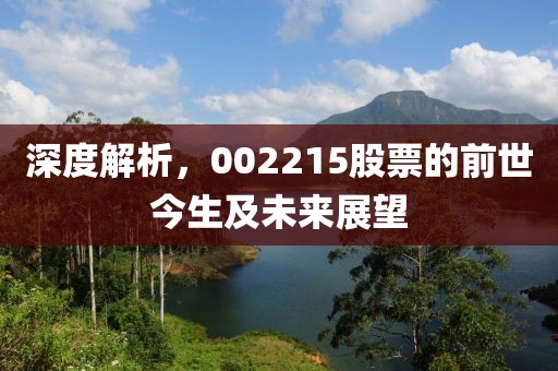 深度解析，002215股票的前世今生及未来展望