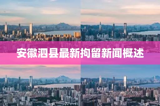 安徽泗县最新拘留新闻概述