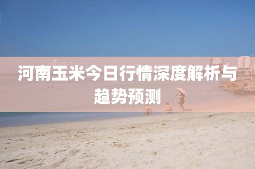 河南玉米今日行情深度解析与趋势预测