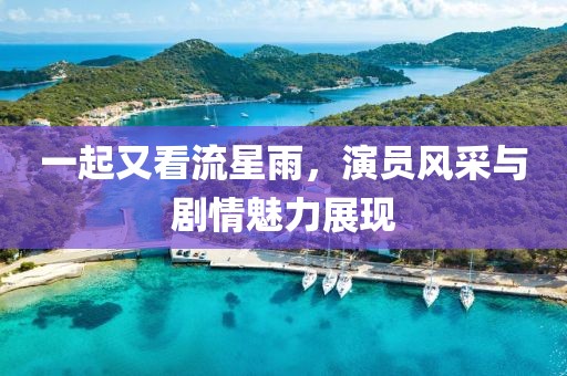 一起又看流星雨，演员风采与剧情魅力展现