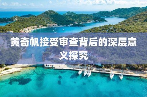 黄奇帆接受审查背后的深层意义探究
