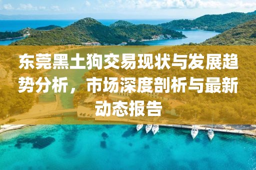 东莞黑土狗交易现状与发展趋势分析，市场深度剖析与最新动态报告