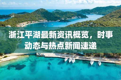 浙江平湖最新资讯概览，时事动态与热点新闻速递