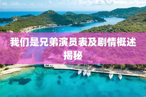我们是兄弟演员表及剧情概述揭秘