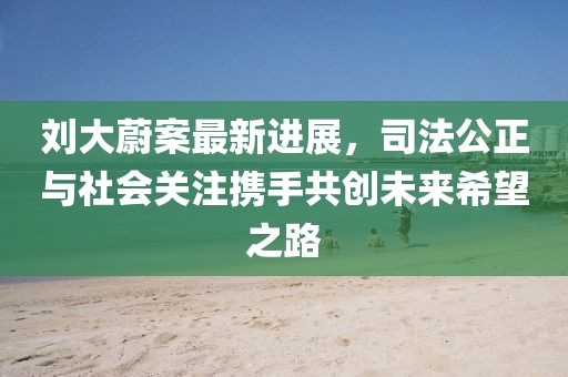 刘大蔚案最新进展，司法公正与社会关注携手共创未来希望之路