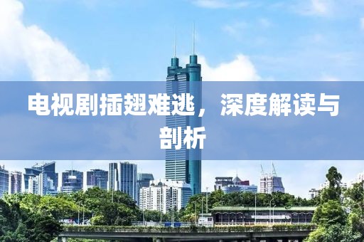 电视剧插翅难逃，深度解读与剖析