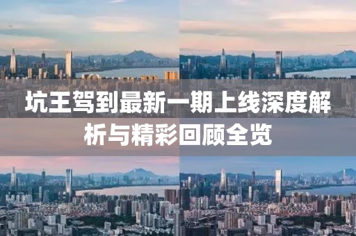 坑王驾到最新一期上线深度解析与精彩回顾全览