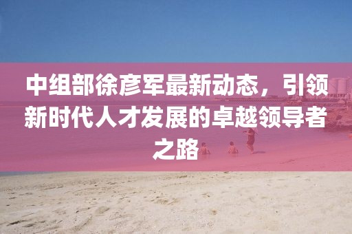 中组部徐彦军最新动态，引领新时代人才发展的卓越领导者之路