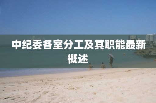 中纪委各室分工及其职能最新概述