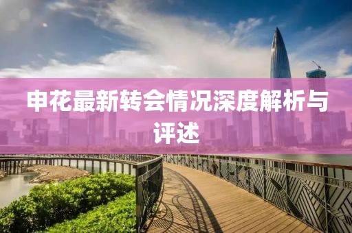 申花最新转会情况深度解析与评述