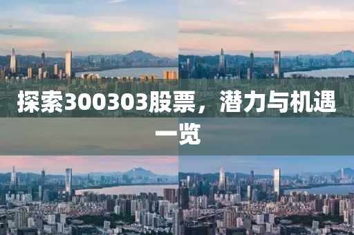 探索300303股票，潜力与机遇一览
