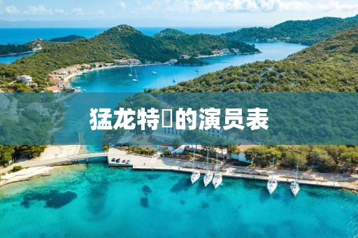 猛龙特囧的演员表