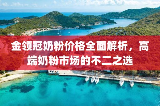 金领冠奶粉价格全面解析，高端奶粉市场的不二之选