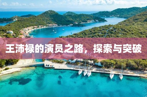 王沛禄的演员之路，探索与突破