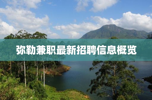 弥勒兼职最新招聘信息概览