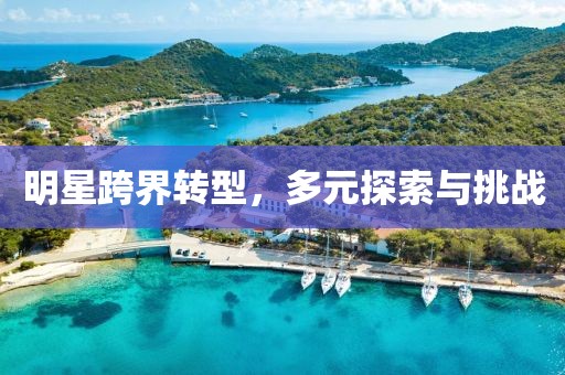 明星跨界转型，多元探索与挑战