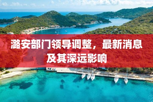 潞安部门领导调整，最新消息及其深远影响
