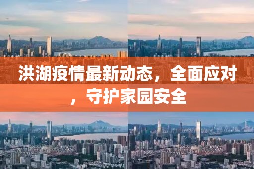 洪湖疫情最新动态，全面应对，守护家园安全