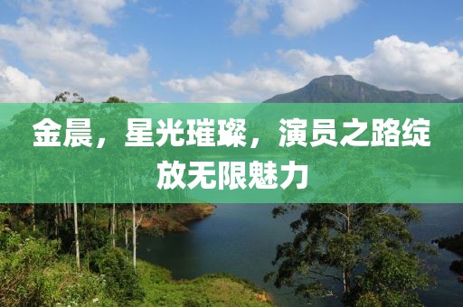 金晨，星光璀璨，演员之路绽放无限魅力