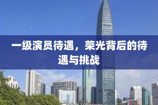 一级演员待遇，荣光背后的待遇与挑战