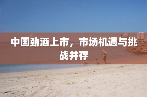 中国劲酒上市，市场机遇与挑战并存