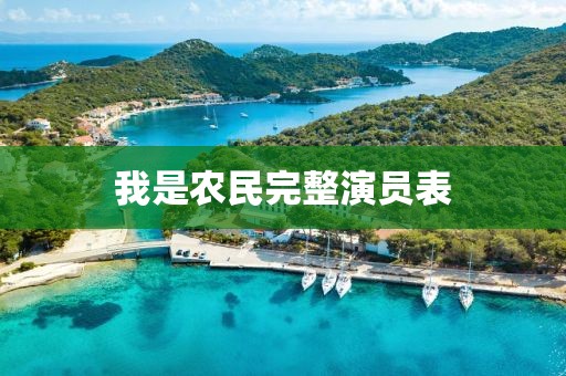 我是农民完整演员表