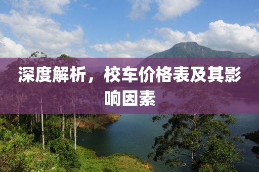 深度解析，校车价格表及其影响因素