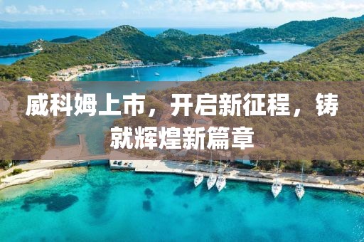 威科姆上市，开启新征程，铸就辉煌新篇章
