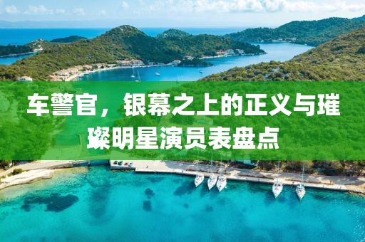 车警官，银幕之上的正义与璀璨明星演员表盘点