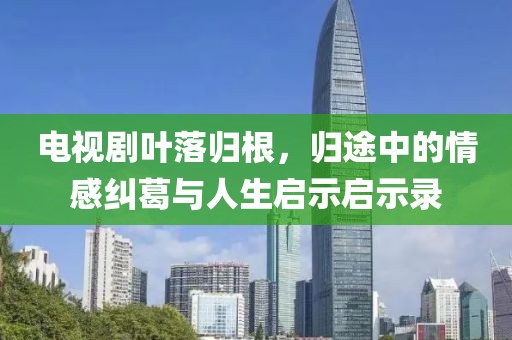 电视剧叶落归根，归途中的情感纠葛与人生启示启示录