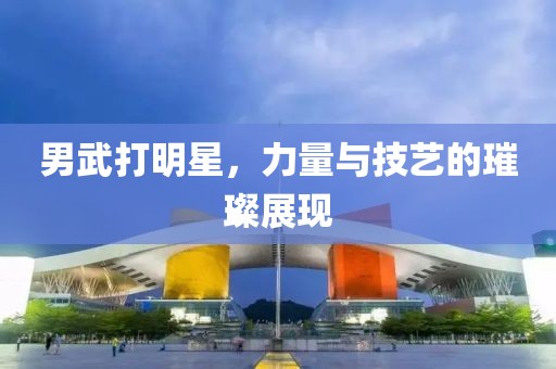 男武打明星，力量与技艺的璀璨展现
