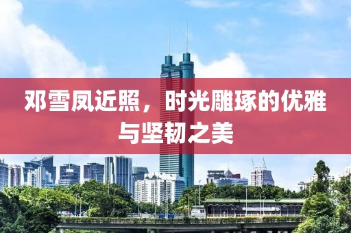 邓雪凤近照，时光雕琢的优雅与坚韧之美
