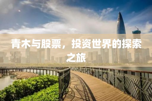 青木与股票，投资世界的探索之旅