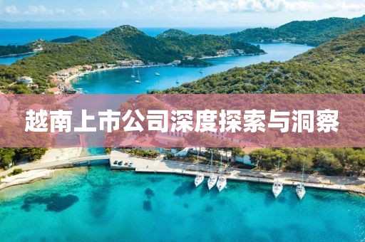 越南上市公司深度探索与洞察
