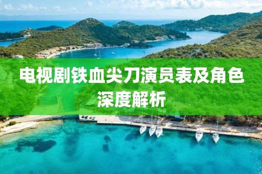 电视剧铁血尖刀演员表及角色深度解析