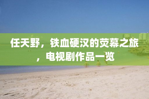 任天野，铁血硬汉的荧幕之旅，电视剧作品一览
