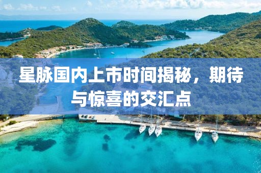 星脉国内上市时间揭秘，期待与惊喜的交汇点