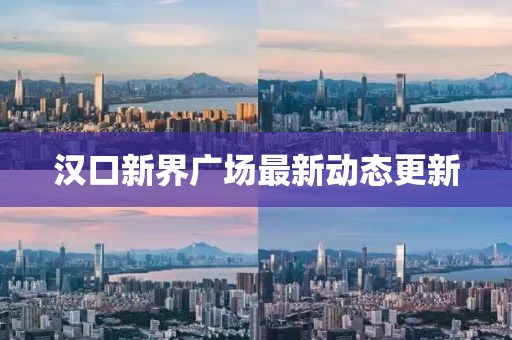 汉口新界广场最新动态更新
