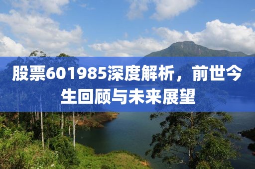 股票601985深度解析，前世今生回顾与未来展望