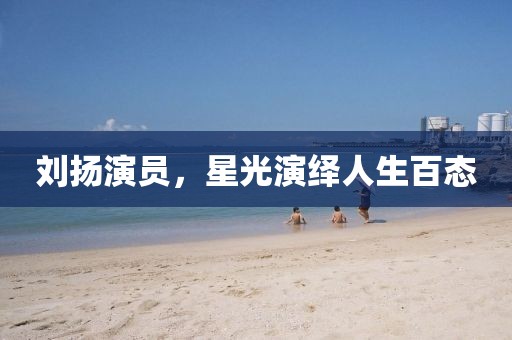刘扬演员，星光演绎人生百态
