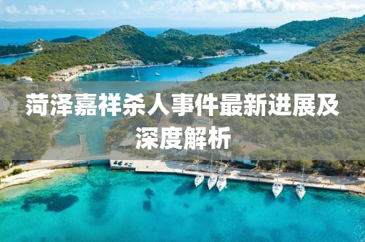 菏泽嘉祥杀人事件最新进展及深度解析