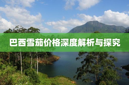 巴西雪茄价格深度解析与探究